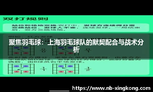 聚焦羽毛球：上海羽毛球队的默契配合与战术分析