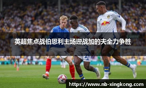 星空体育网站入口