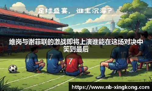星空体育官网